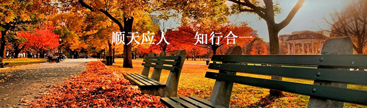 开云(中国)